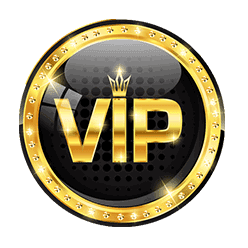 VIP Services